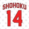 Shohoku Hisashi Mitsui Jersey Throw Pillow Official onepiece Merch